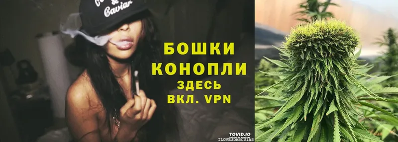 Бошки марихуана SATIVA & INDICA  где купить наркотик  Балаково 